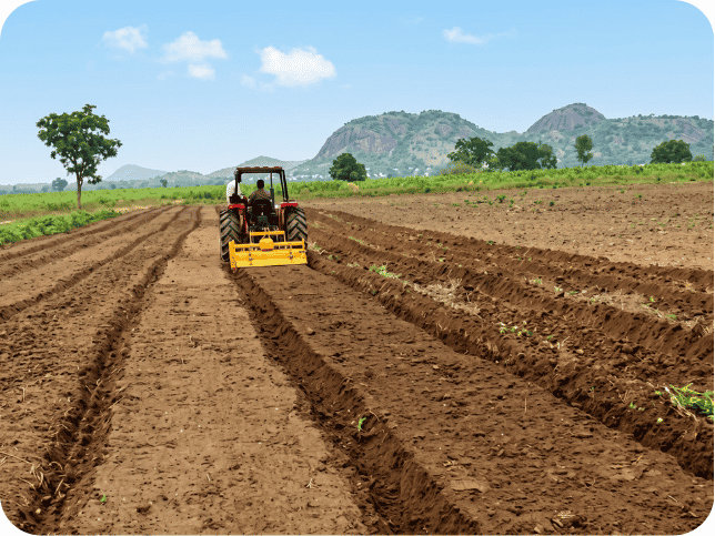 AfriFruits - 2026-04-27T144319.805