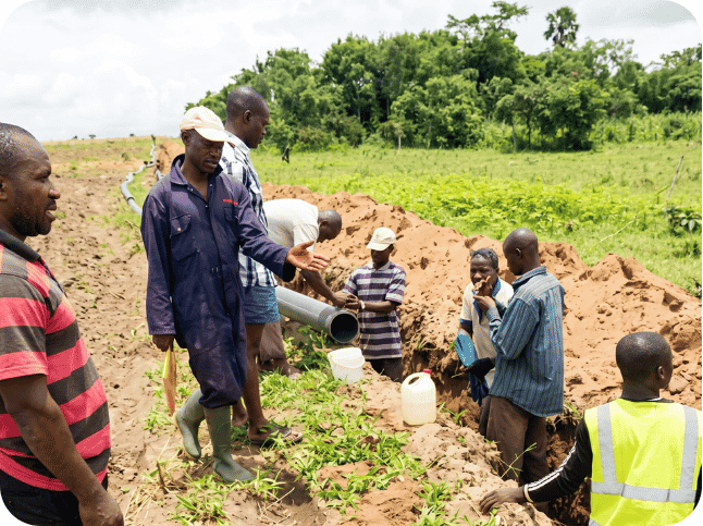 AfriFruits - 2026-04-27T153901.939
