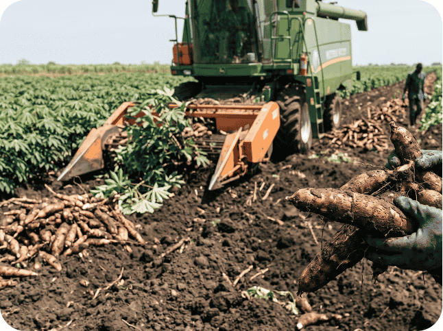 AfriFruits - 2026-05-22T153412.784