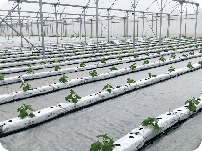 Greenhouse full farm 2
